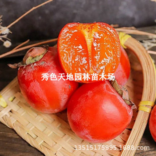 ���ڼ޽Ӹ�ƽ�����Ә�����Ʒ�N��������Ϸ������������Ե���ͥԺ