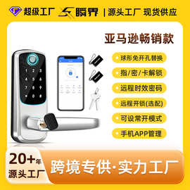 跨境免开孔替换指纹密码锁美式房间通通涂鸦wifi锁智能防盗电子锁