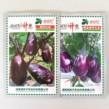 �����ѷN�I����t�ѷN��F1 �шA���ϼtɫ�����ͺ��E�A����1000��