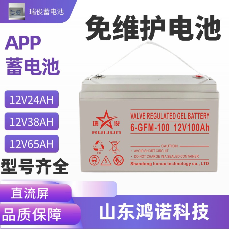 鸿诺 瑞俊蓄电池12V38AH 6-GFM-38 免维护固定型12V24AH 65AH