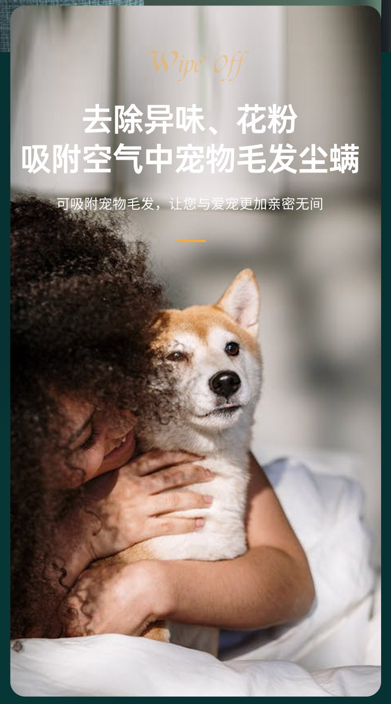 详情 (11)