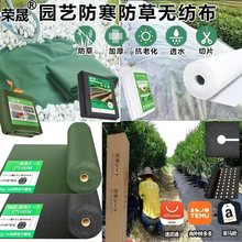 生产定制跨境爆款纺粘丙纶PP无纺布果树园艺农业防草除草防寒地布