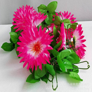 ���������뽁��朗l�ٻ����� 2��4朗l�y��������õ�����S��ֱ�N