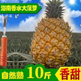 方便面类;膨化;传统糕点