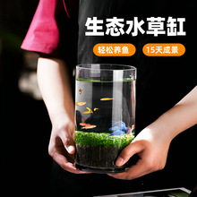 ˮ�ݷN�����B����ƿ��ֲ��N��������ˮ��GֲС���~�ݸ��~���쾰