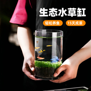 Aquatic Seeds, Ecological Glass Bottles, Real Plant Seeds, Potted Hydroponic Green Plants, Small Fish and Grass Tanks, Fish Tank Landscaping