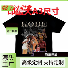 NBA�����ӿ���ŷ��2KͶ������ʽ�����ļ������˶�����T����