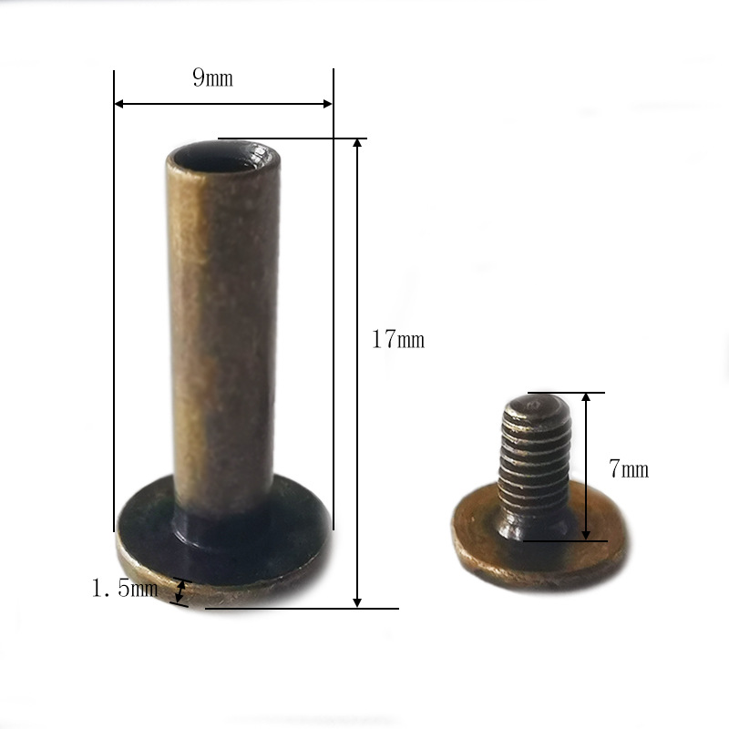 Clavo del libro de cuentas, cerradura de par de niño y madre dorado, tornillo de una palabra, álbum de fotos, calendario de escritorio, receta, par de remaches de niño y madre, tachuelas de cuero