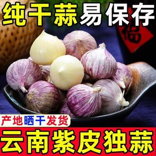 2025������r�����Օ��^�����ױ�����Ƥ���^��