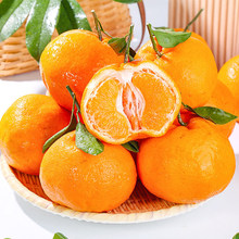 ���A�ϡ��ҰҸ� 400g-500g/��*3��