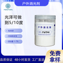 供应粉末涂料用户外消光剂PTN904适用于93/7或者94/6的TGIC体系