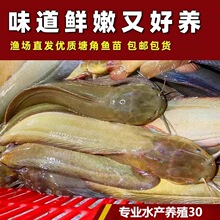 �����~�~�� ���X�~�� ����һ̖�����~ ����ʭ ���T�~�� �T�~��