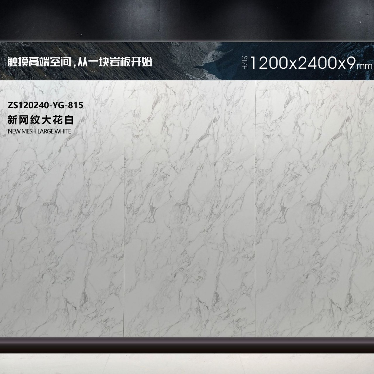 새로운 메쉬 패턴의 큰 꽃 흰색