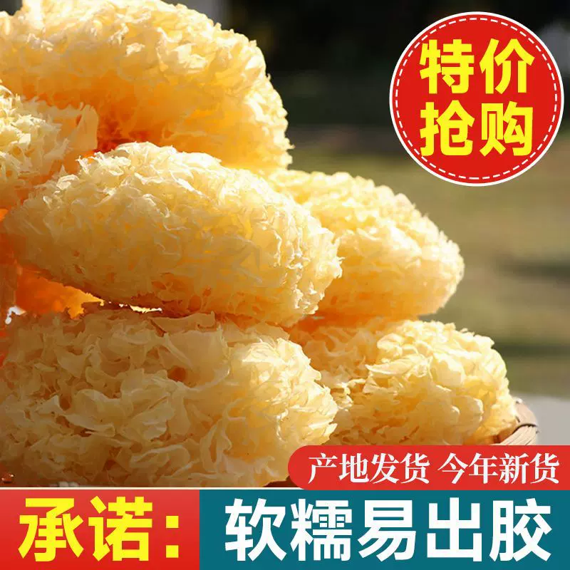 福建古田农家银耳熏干货白木耳糯耳雪耳百合莲子羹500g批发