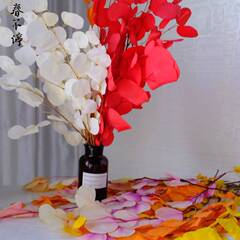 Preserved flower apple leaf manufacturer wholesale apple leaf round leaf eucalyptus preserved flower dried flower bouquet home decoration