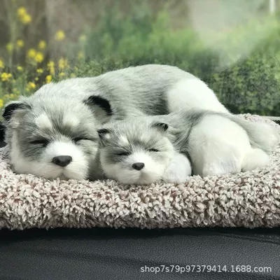 Dashboard Decoration, New Model – Car ornaments - 2620cm-husky-mother-and-child-lying-down