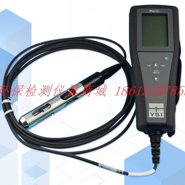 美国YSI Pro20i溶解氧测量仪 便携式溶解氧仪 手持式溶氧仪