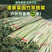 ��Ͳˈ@����߲��S�Ϸ��Ѷ��ǼܗU��h�ʖř�С���Ӽ�������Ѽ�