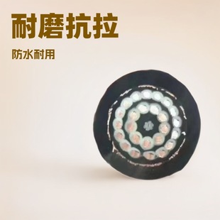 海底監測電纜用於連接各種海洋監測儀器，如地震監測器、水聽器等