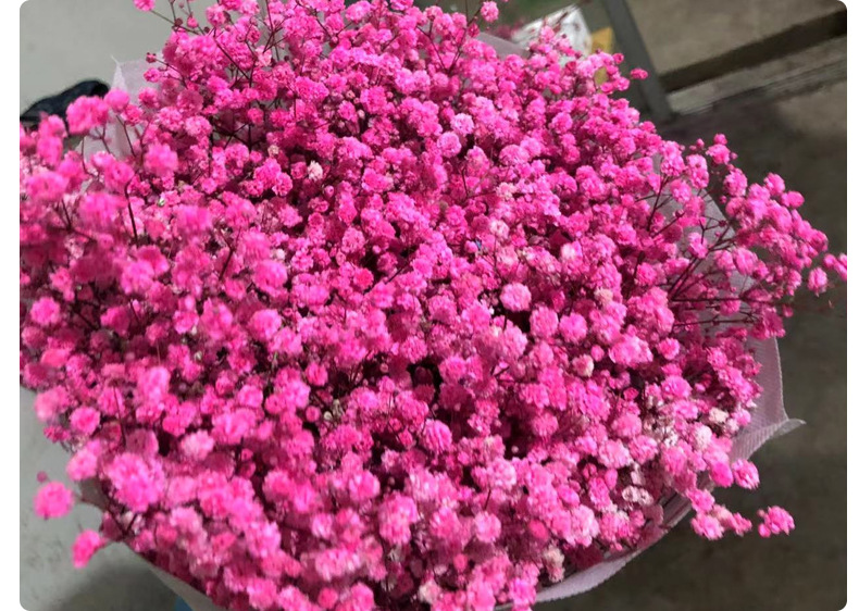 Full Sky Star, Immortal Flower, Dry Flower, True Flower Bundle, Flower Material, Gift, Flower_voghion.com