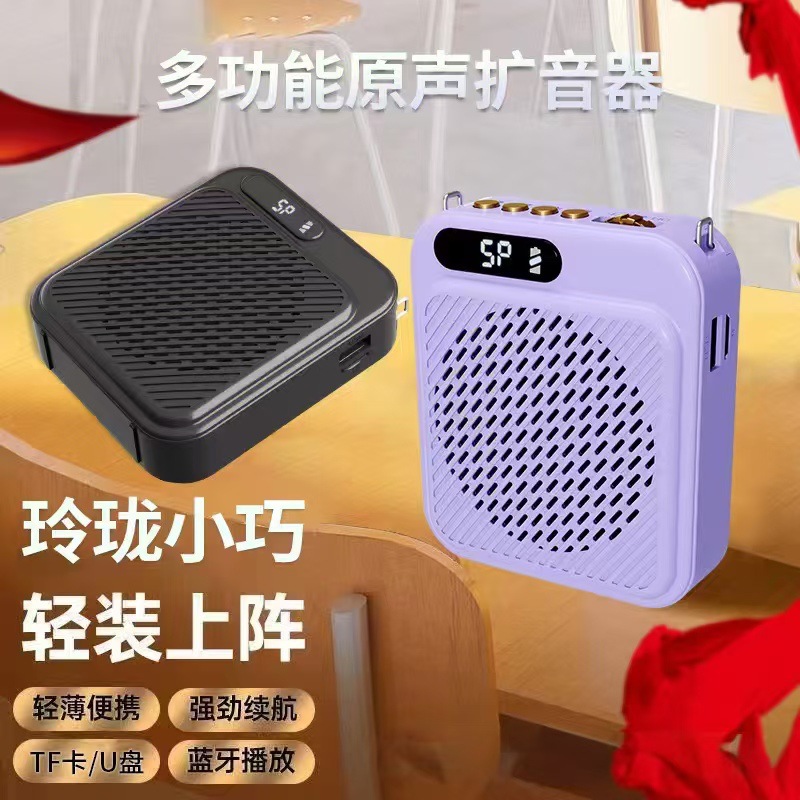Dual-Microphone Teacher Teaching Amplifier with Card Slot, USB Drive, Bluetooth Player, Portable Tour Guide Loudspeaker