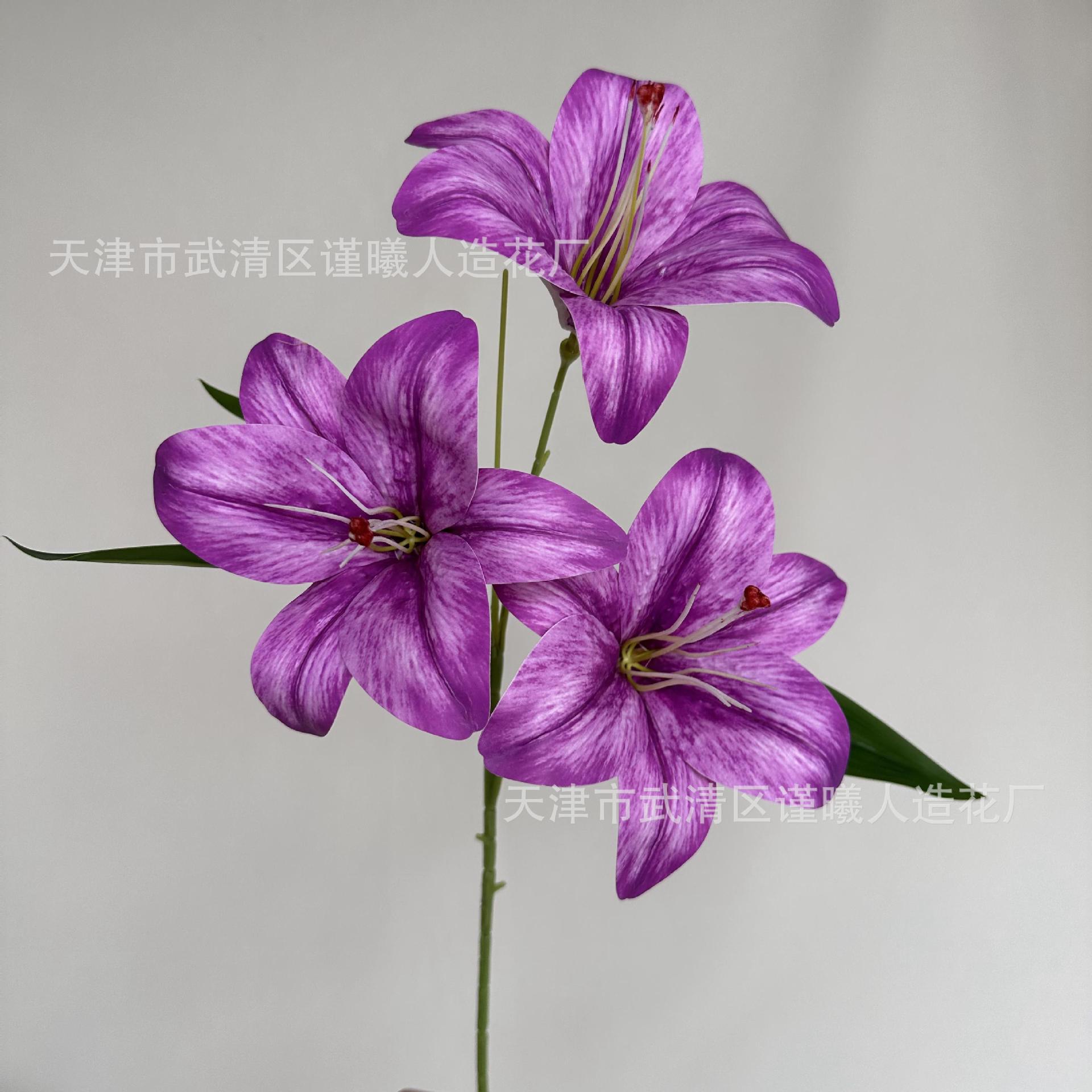 보라색