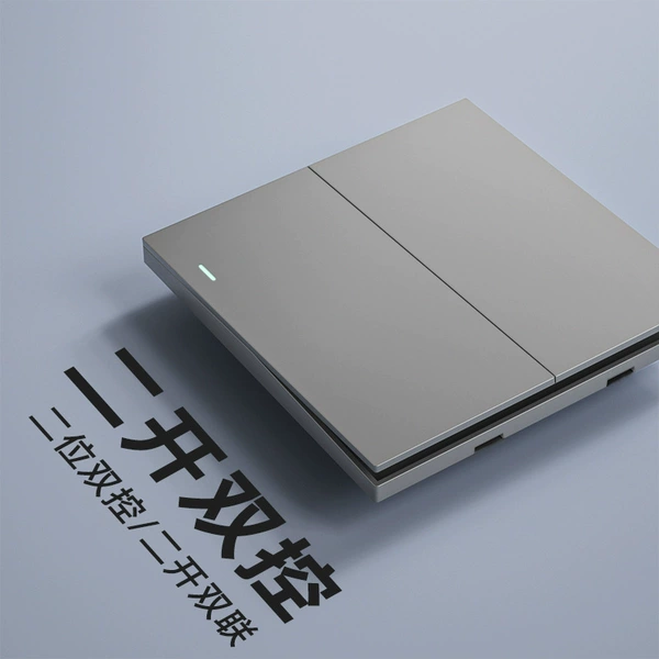 Two -open dual control