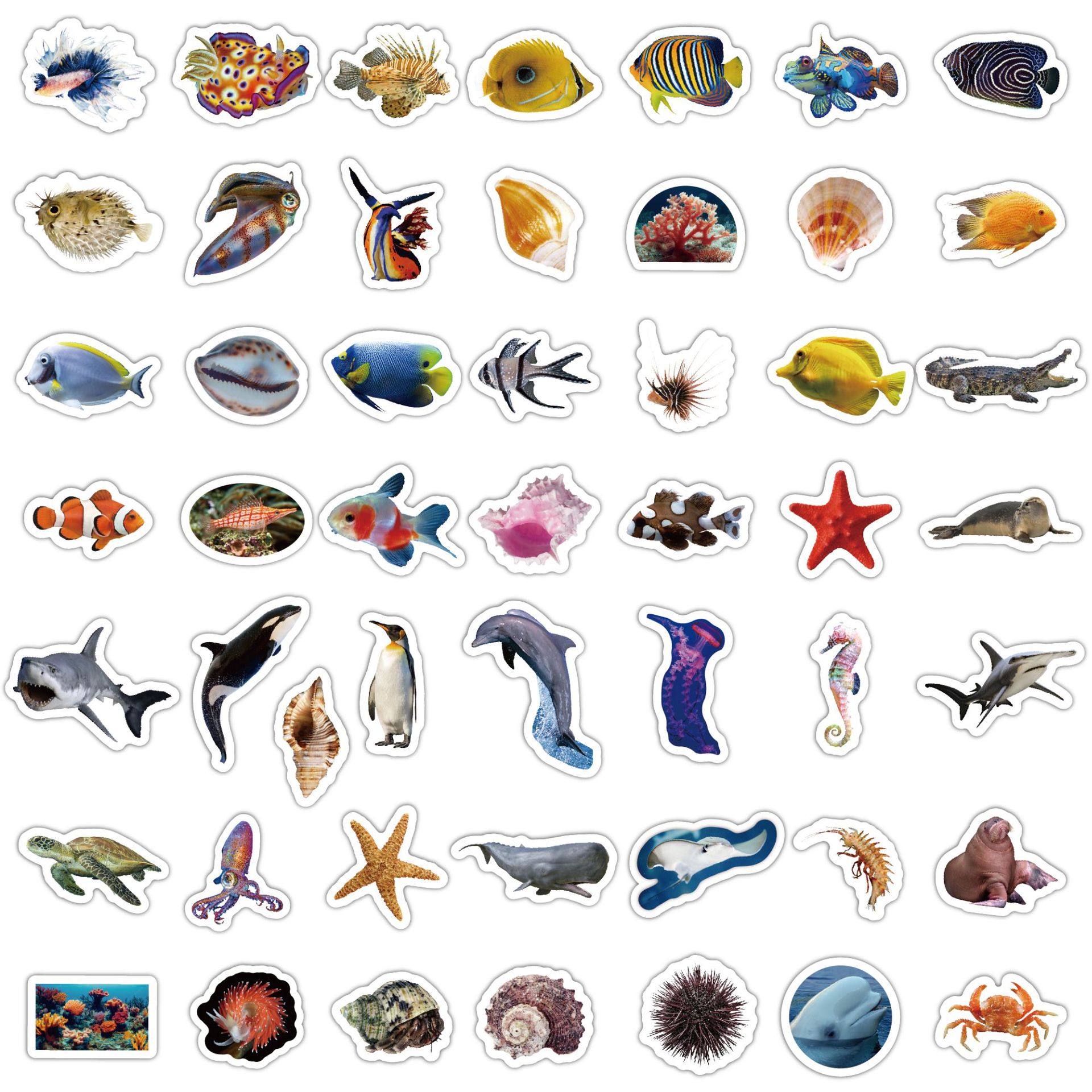B049海洋生物1