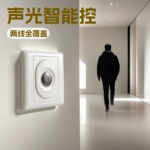 凯德利N902L声光86型二线楼道 走廊延时开关 LED节能灯声控延时