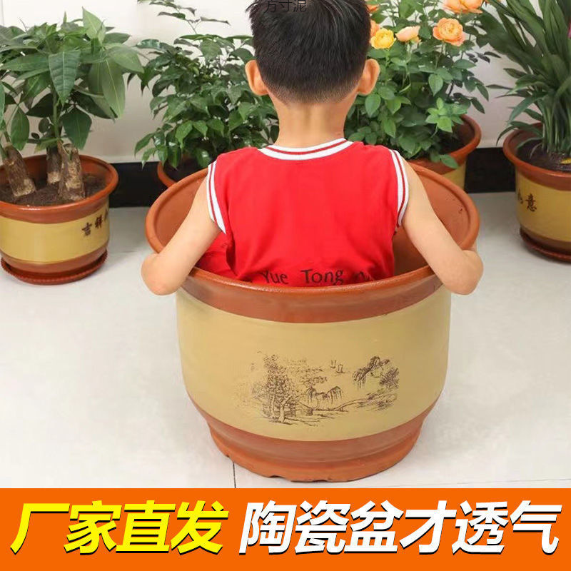 Ceramic Flower Pots for Home Use, Coarse Pottery, Breathable, Suitable for Orchids and Clivia, Outdoor Fruit Tree Pots, Terracotta Indoor Pots