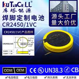 CR2450大电流物联网标签电池报警器3.0VCR2450/1VC带焊脚纽扣电池