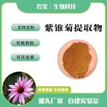 紫锥菊提取物10:1 紫锥菊粉 水溶性紫锥菊粉 萃取 浓缩 原料