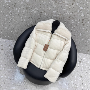 2025�ﶬ�¿�BC���X�L��ɫˮ��ë��qᘿ����Z�q��q���̿�����