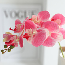 ��Ʒ�|3D�ָ��zƬ�����m���滨����͏d�b����^�[���ٻ���