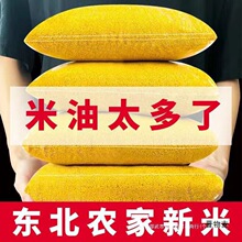 黄小米新米养胃东北农家粘稠油小米粥小米香月子五谷杂粮糯