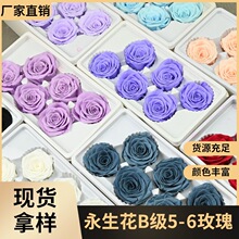 �û�������B��5-6õ�廨�Ī��ǫF�ɻ����l������diyõ���ܲ���