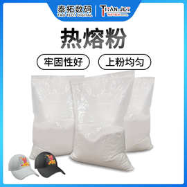 烫画热熔粉衣服印花图案印刷帆布袋图案热转印烫画打印机热熔粉