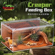 ������B��͸��������һ�w��M�b�ľ�з��B��ϐ�������x���B��