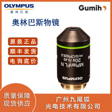 �W�ְ�˹MPLFLN20X  ƽ�������ɫ��20�����R���o�wƬ��