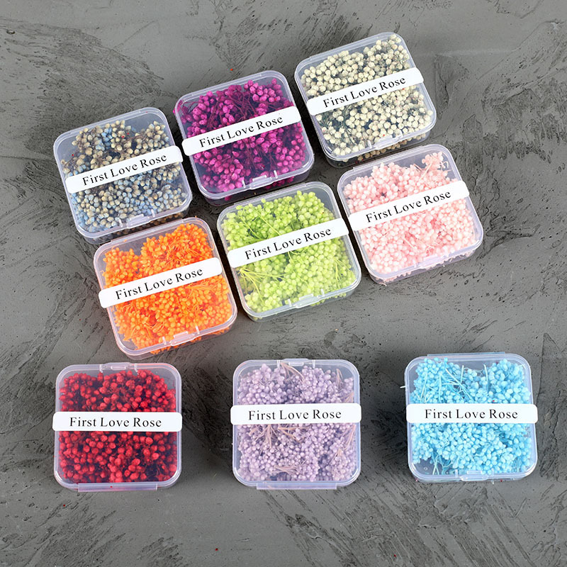 Cross-border popular ins-style dried flower material pack with small beads, red berry dried flowers for nail art, art materials Cross-border popular ins-style dried flower material pack with small beads, red berry dried flowers for nail art, art materials
