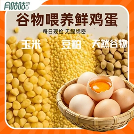 鸡蛋;猪肉类;鸡肉类