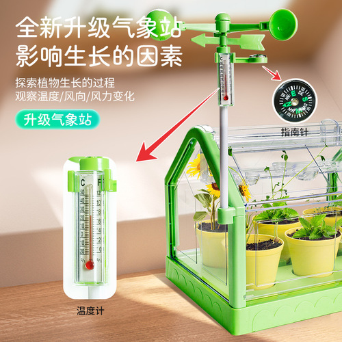 Learn from Yuma Sunroom Planting Children's Vegetable Toys Scientific Experiment Potted Handmade DIY Materials Plant Flower Room