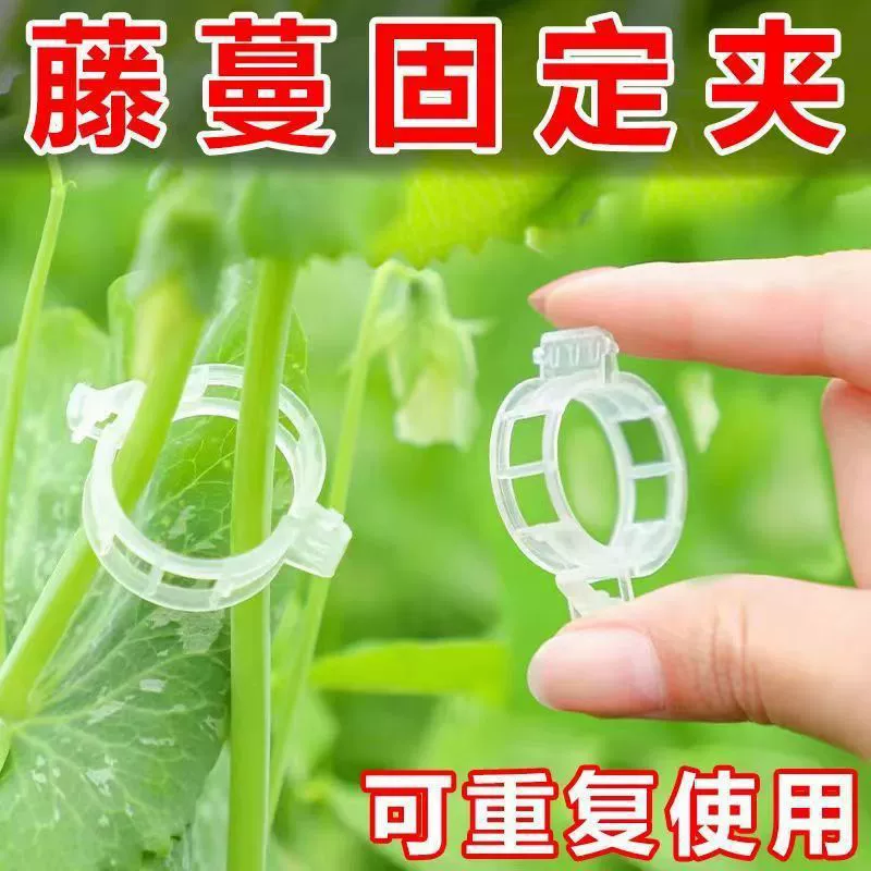 Специальная пряжка для зеленой посадки и виноградной лозы