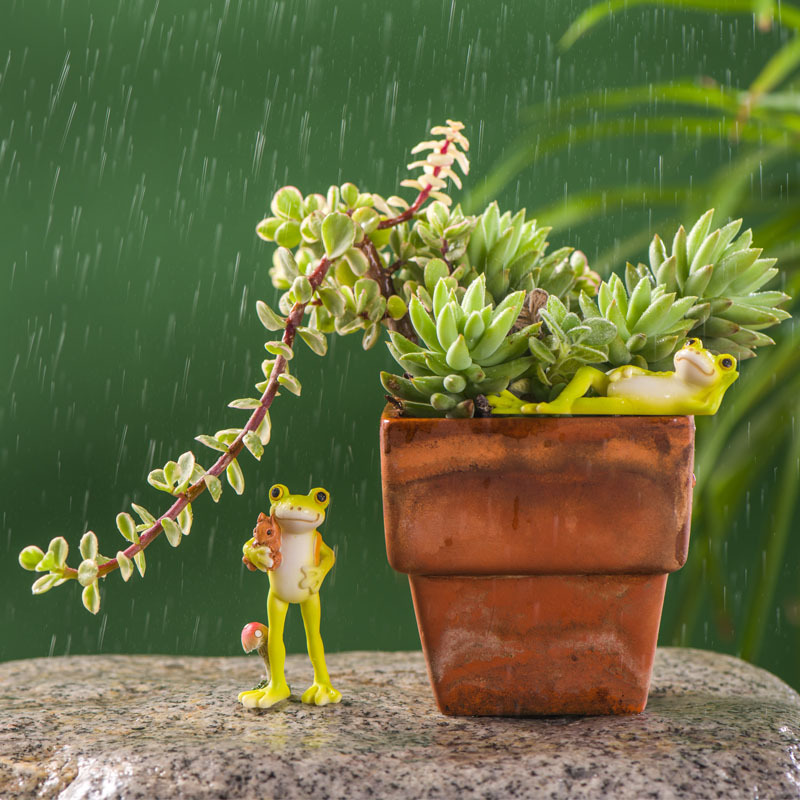 田园盆栽造景可爱动物小青蛙摆件创意微景观花盆多肉装饰品工艺品