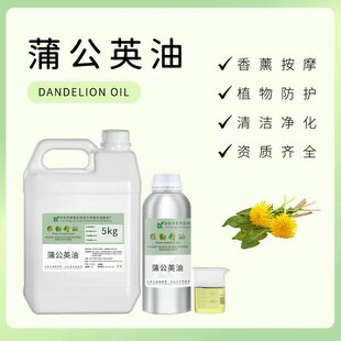 �ѹ�Ӣ����Dandelion oil  �S���ض�����޹���yƷ��Ȼ�����ѹ�Ӣ