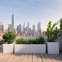 ���ⲻ�P䓻����̨�Nֲ���̘I�ֳ�Ʒ�����M���Fˇ�L���λ���