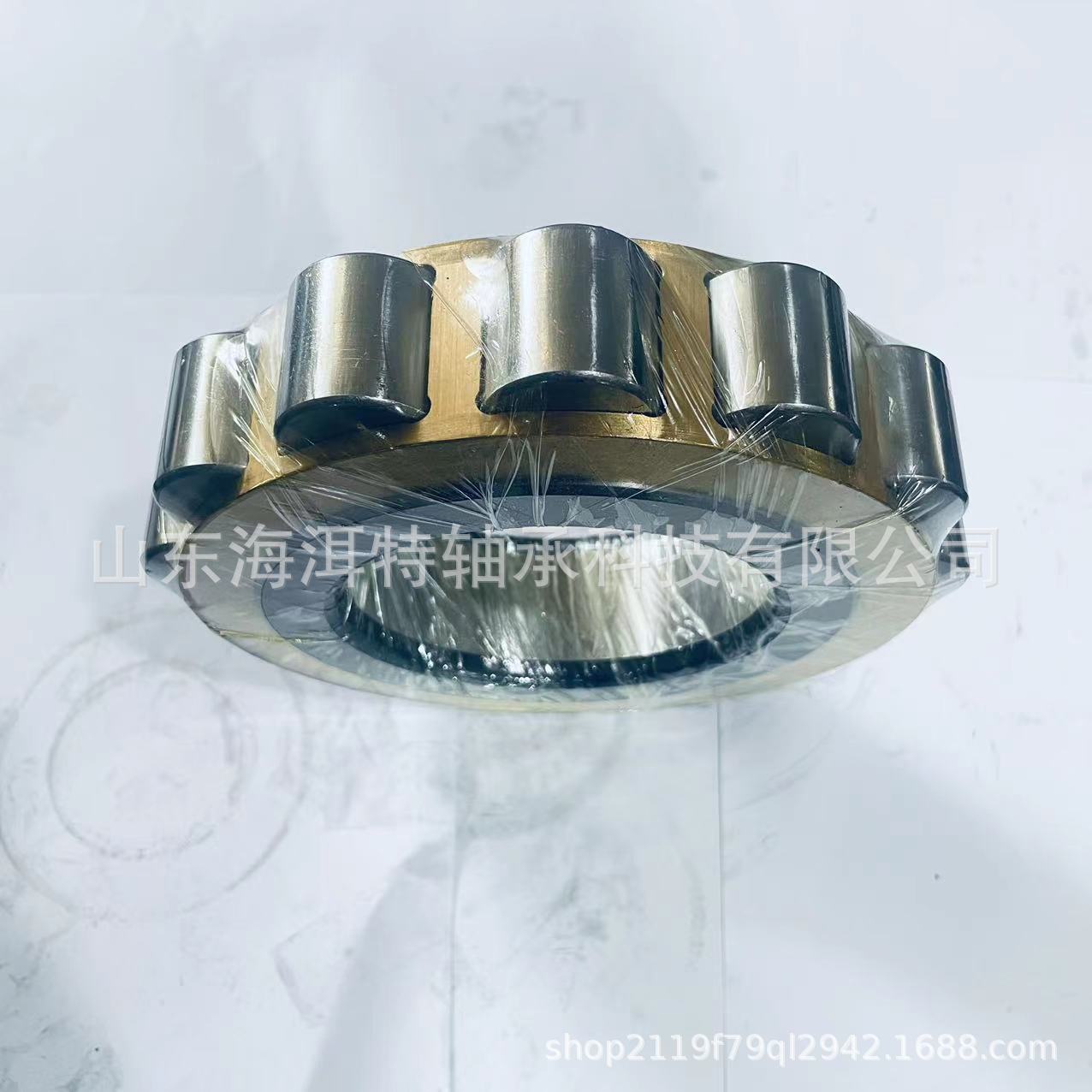 二类圆柱滚子轴承RN219M RN222M RN228M RN328减速机轴承