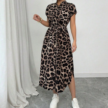 �羳���N���R�debay�¿�W�����ĕr���Ը��r���Lȹ�B��ȹ