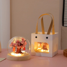 许愿树樱花桃花diy手工材料包发光小夜灯桌面摆件生日礼物送女生