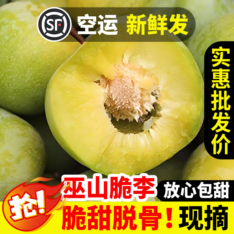Authentic Wushan Qu Chi Crisp Plum Large Fruit Boneless Crisp Green Plum Seasonal Fruit Fresh Crisp Plum Green